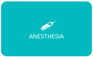 Anesthesia Section