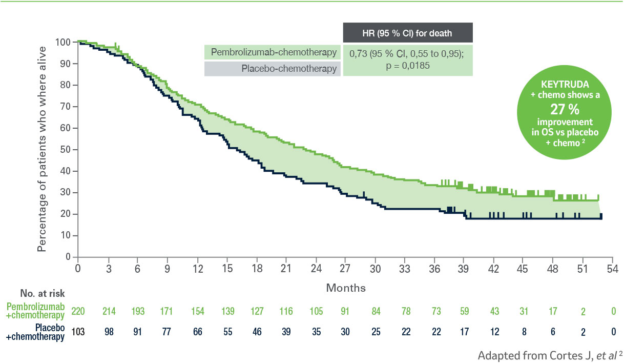 TNBC-05Keynote355Overall