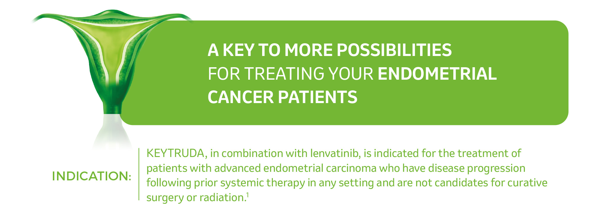 A KEY TO MORE POSSIBILITIES
FOR TREATING YOUR ENDOMETRIAL
CANCER PATIENTS
